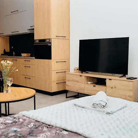 Apartamento Skyline 21 - With A View Of Katowice